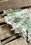 11" Flocked Pine Dozen