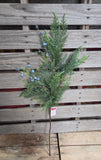29" Cedar Bluberry Stem