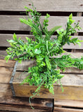 22" Mixed Greenery Bush x7