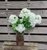 22" Snowball Hydrangea Bush