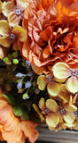 Orange/Bronze Peony Hydrangea Bush