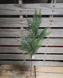 29" Cedar Bluberry Stem