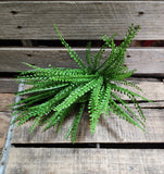 16" Beaded Grass Bush