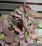 20" Poinsettia Bush Chocolate or Tan