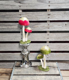 Mushroom Sitter