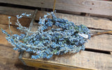 26" Flocked Berry Stem