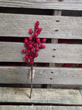 12" Red Berry Stem