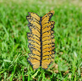 5" Monarch Feather Butterfly Doz