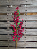 38" Red High Quality Berry Stem