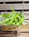 19" Plastic Fern Bush x9