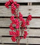 24" Red Berry Stem