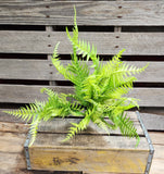 24" Platic Light Green Fern Bush x7