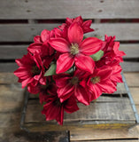 18" Burgundy Dahlia Bush