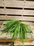 Plastic Button Fern Bush~ Beaded Grass Bush