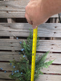 29" Cedar Bluberry Stem
