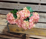 Silk Hydrangea High Quality bush