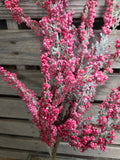 26" Flocked Berry Stem