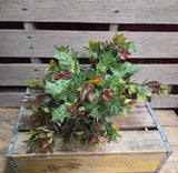 19" Mixed Holly Bush