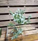 19" Artificial Greenery Bush