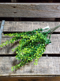 17" Poly Myrtle Bush x 5 Stems