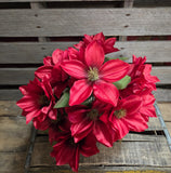 18" Burgundy Dahlia Bush