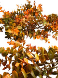 Fall Plastic Eucalyptus Garland