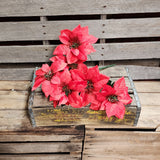 19" Red Poinsettia Bush X 7