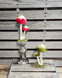 Mushroom Sitter