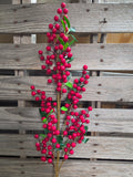 38" Red High Quality Berry Stem