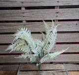24" Flocked Fern Bush