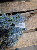 26" Flocked Berry Stem