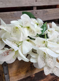 22" White Silk Alstromaria Bush x9 Stems