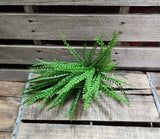 16" Beaded Grass Bush