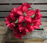 18" Burgundy Dahlia Bush