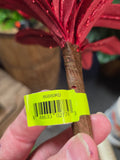 19" Wired Red Glitter Poinsettia Stem