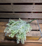 22" Flocked Greebery Bush