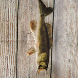 Metal Bass Fish Sign