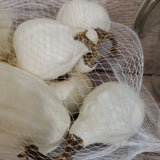 Large White Faux Pumpkin Set