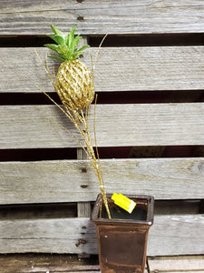 20" Glitter Pineapple Stem