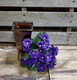 Artifical African Violet Bush Set of 3