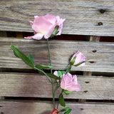 Silk Rose Stems - Dozen stems