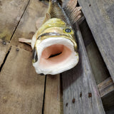 Artificial Large Mouth Bass Styrofoam