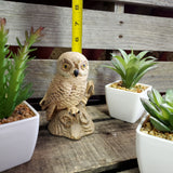 Ceramic Owl Statue