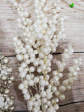 Snowy Berry Bush