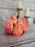 23" Sherbert Peony Bush x 7 heads