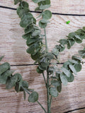 Plastic Frosted Eucalyptus Stem