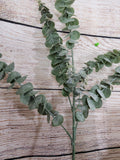 Plastic Frosted Eucalyptus Stem