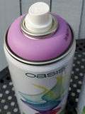 Oasis Floral Paint