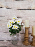 White Daisy Bush