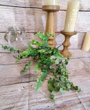 Plastic Fern and Eucalyptus Bush